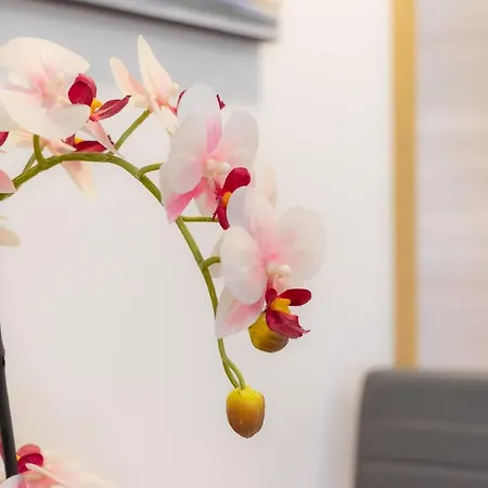 Hall V By Aston Appartement Bilbao